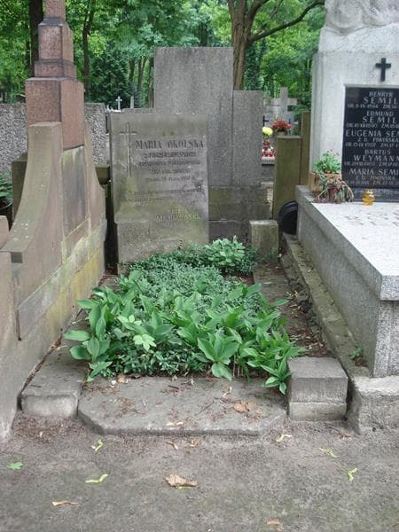 Zdjęcie grobu: Maria Okolska