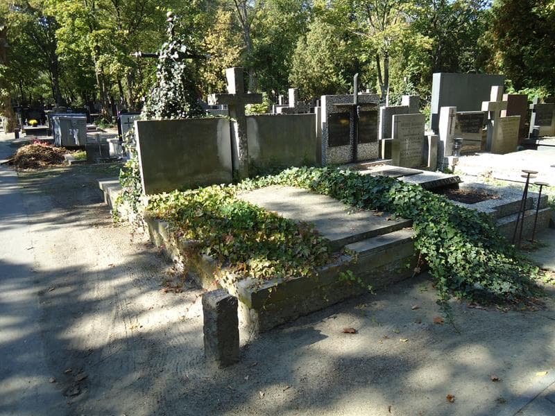 Zdjęcie grobu Andrzej Malinowski (1)
