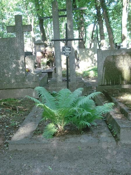 Zdjęcie grobu: Wacław Altrych