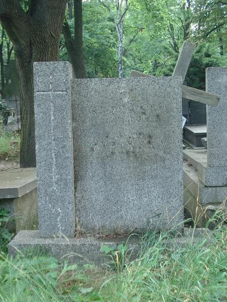Zdjęcie grobu Karol Rybiński (1)