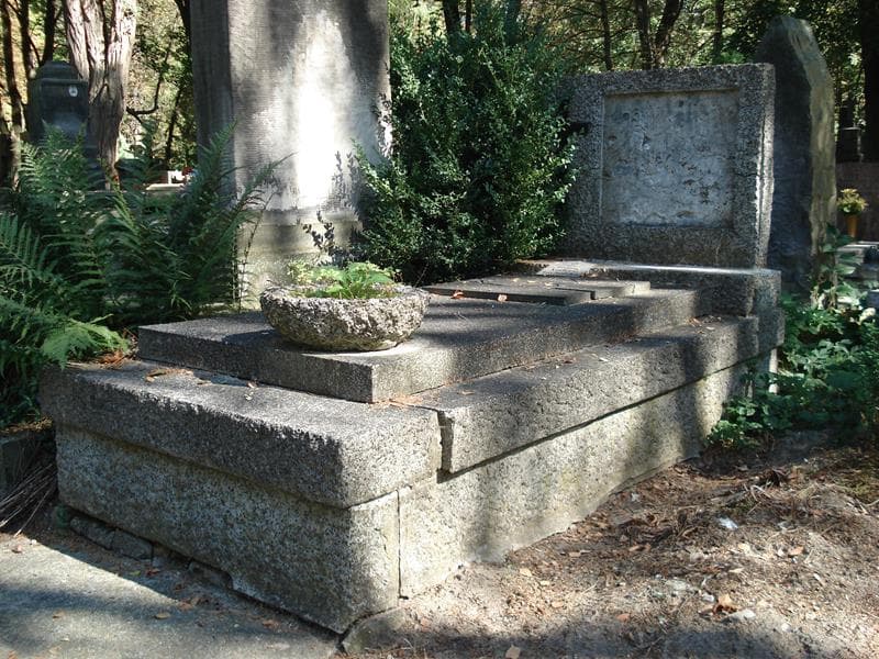 Zdjęcie grobu Romuald Anders (1)