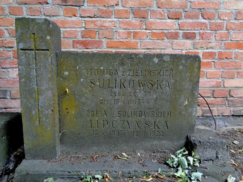 Zdjęcie grobu Zofia Lipczyńska (2)
