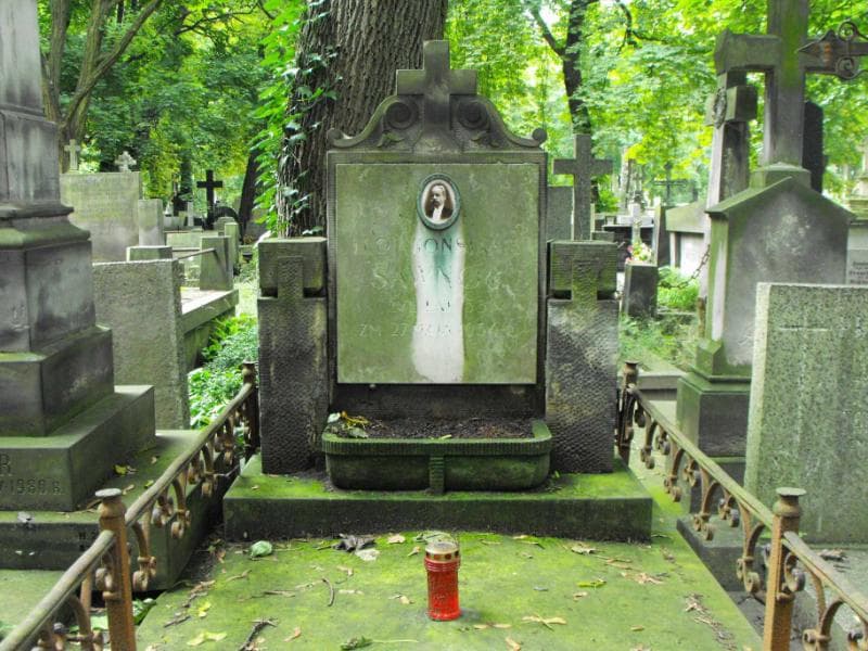 Zdjęcie grobu Leon Konstanty Sawnor (2)