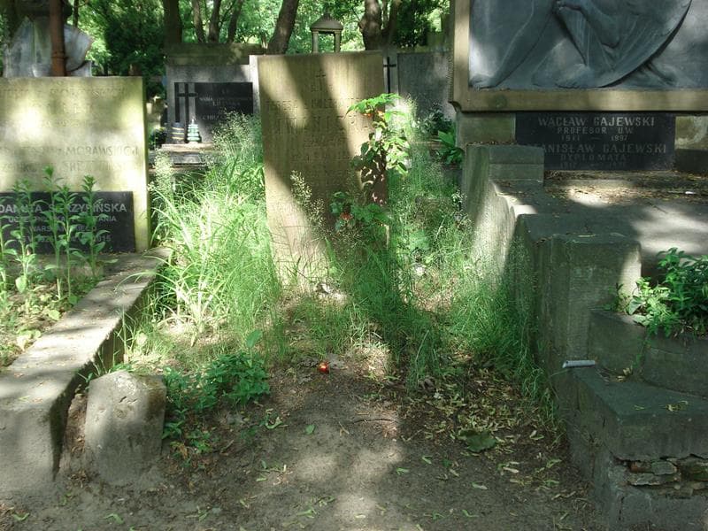 Zdjęcie grobu: Teresa Iwanicka