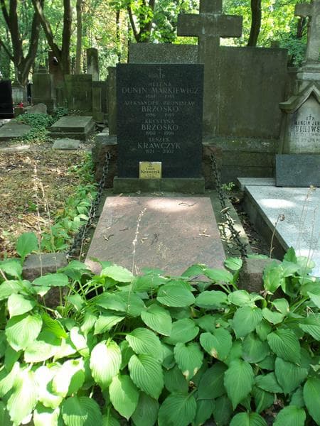 Zdjęcie grobu Krystyna Brzosko (1)