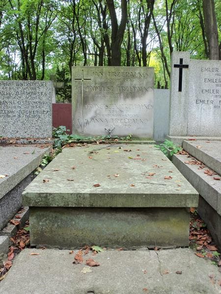 Zdjęcie grobu: Jan Trzepałko