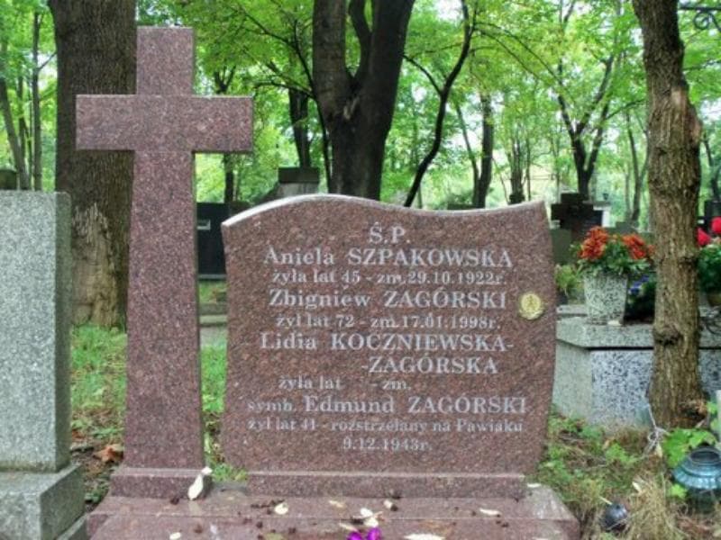 Zdjęcie grobu Edmund Zagórski (2)