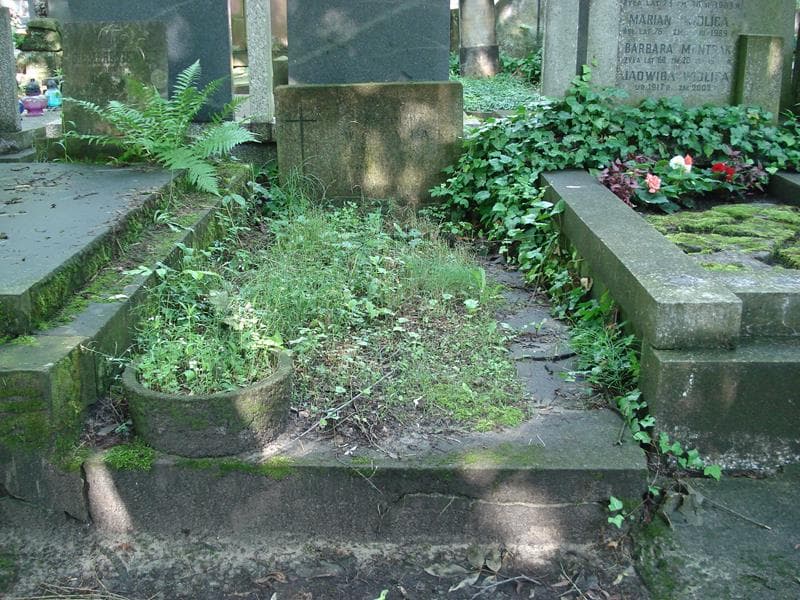 Zdjęcie grobu: Antonina Woźniak