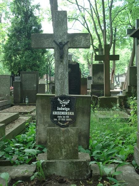 Zdjęcie grobu Jadwiga Krzemińska (2)