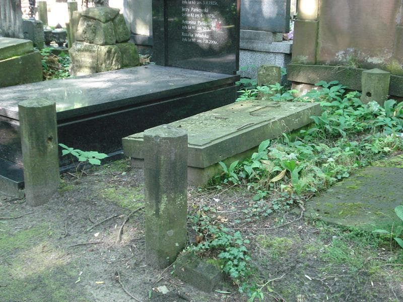 Zdjęcie grobu Stefan Kołakowski (1)
