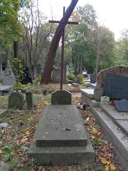 Zdjęcie grobu Klara Serbinowicz (1)