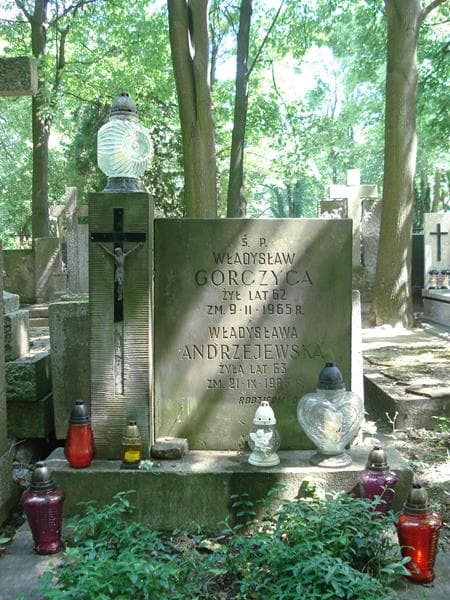 Zdjęcie grobu Władysława Andrzejewska (1)