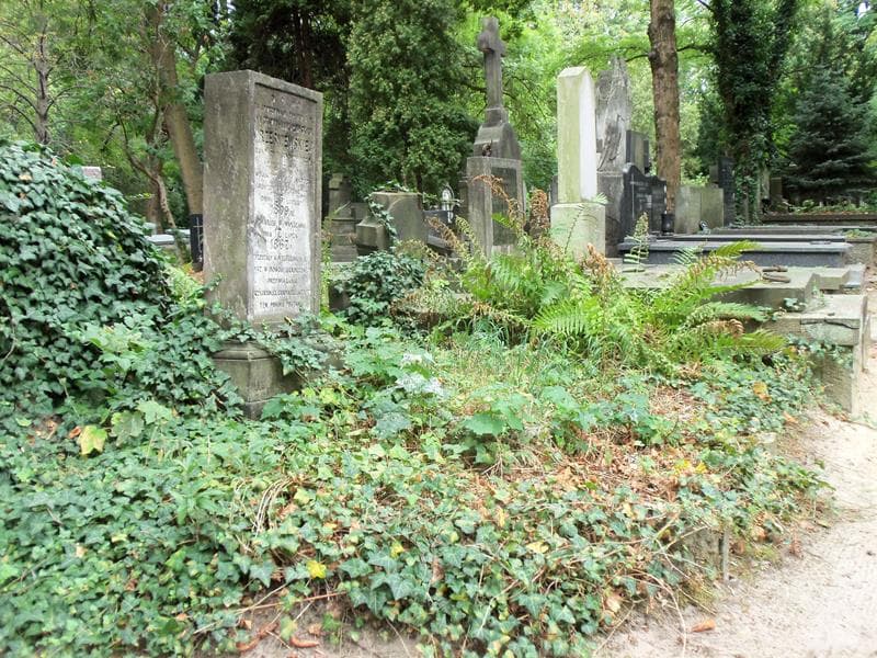 Zdjęcie grobu Anastazya Wrześniewska (1)