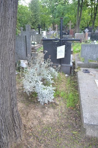 Zdjęcie grobu Ludwik Biernacki (1)