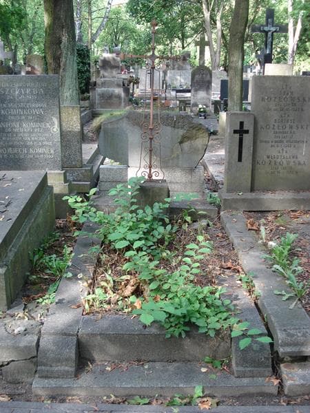 Zdjęcie grobu Czesław Jastrzębski (1)