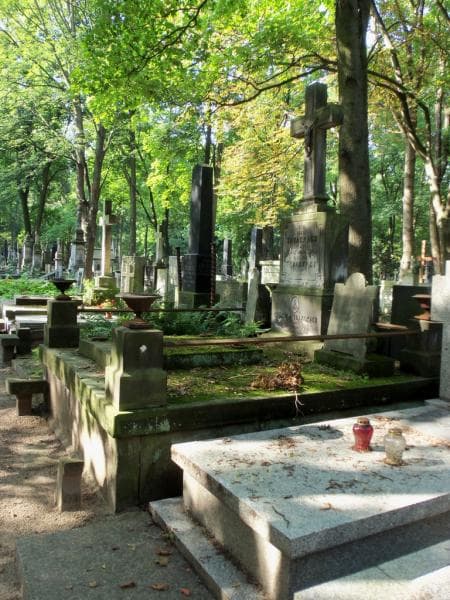 Zdjęcie grobu Józef Trzaskacz (1)