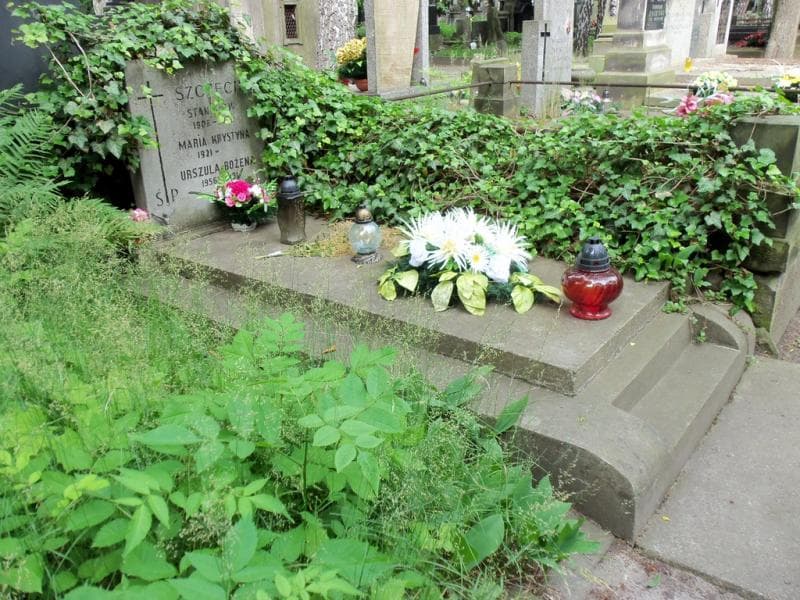 Zdjęcie grobu Stanisław Szczech (1)