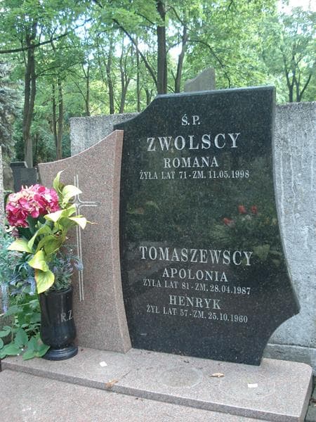 Zdjęcie grobu Henryk Tomaszewski (1)