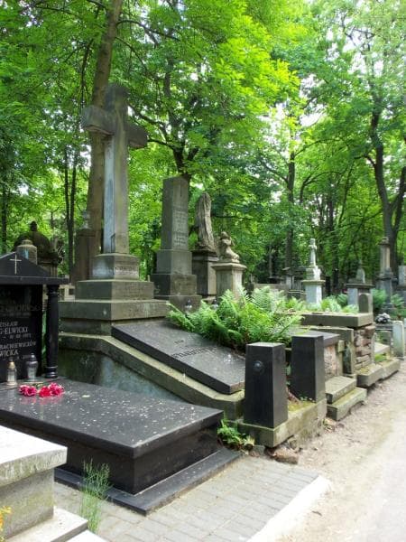 Zdjęcie grobu Malwina Krzycka (1)