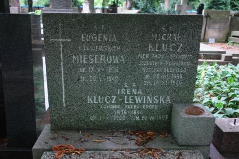 Zdjęcie grobu Michał Klucz (2)