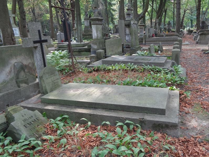 Zdjęcie grobu: Maria Polkowska
