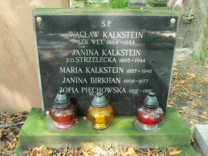 Zdjęcie grobu Zofia Piechowska (2)