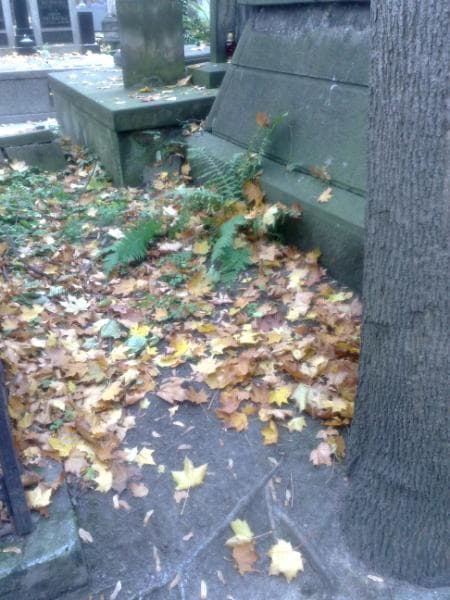 Zdjęcie grobu: Pole Grobowe