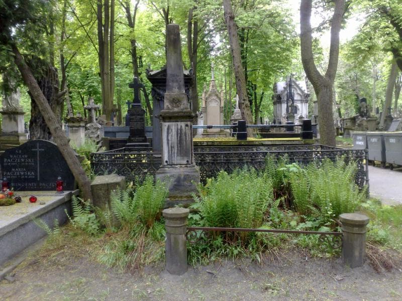 Zdjęcie grobu Aniela Józefowicz (1)