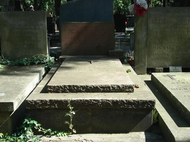 Zdjęcie grobu: Irena Janota Bzowska