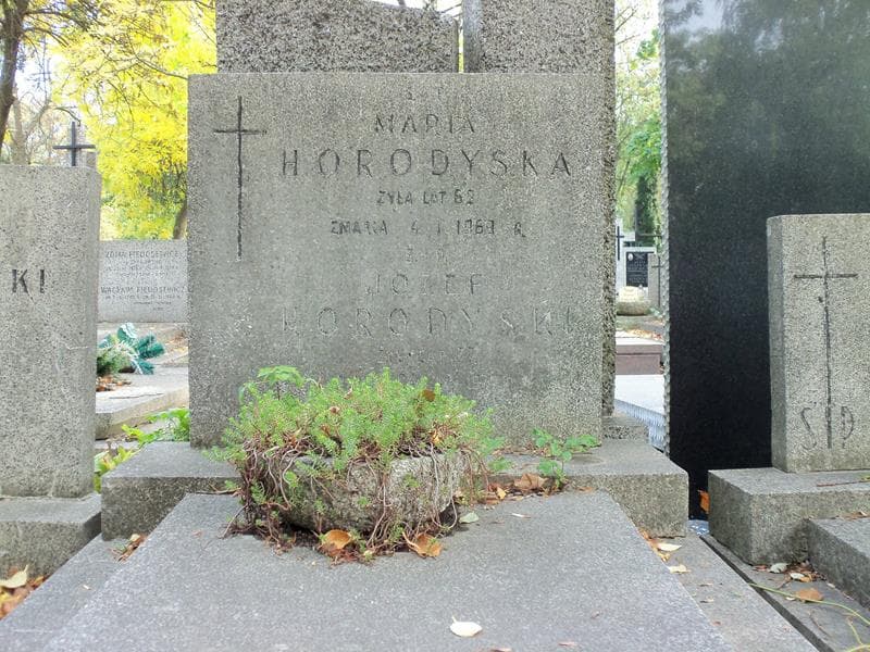 Zdjęcie grobu Józef Horodyski (2)