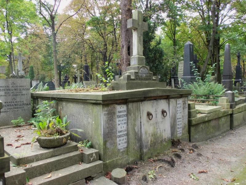 Zdjęcie grobu Konstancja Brzeska (1)