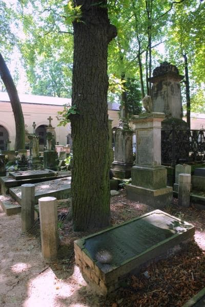 Zdjęcie grobu: Józia Szczepańska