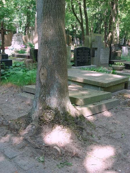 Zdjęcie grobu Beata Jacobson (2)