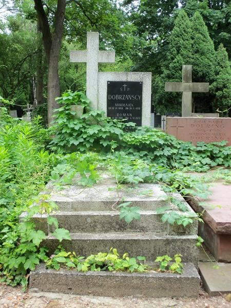 Zdjęcie grobu: Krystyna Dobrzańska