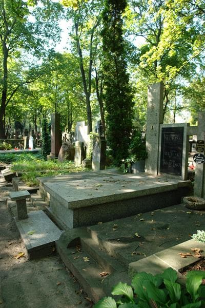 Zdjęcie grobu Franciszek Matejski (1)