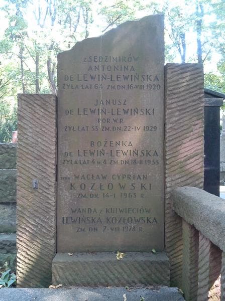 Zdjęcie grobu Wacław Cyprian Kozłowski (2)