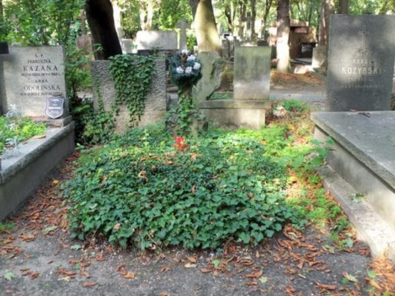 Zdjęcie grobu: Władysława Malinowska