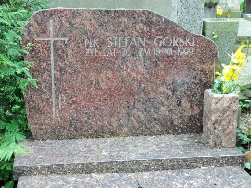 Zdjęcie grobu Stefan Górski (2)