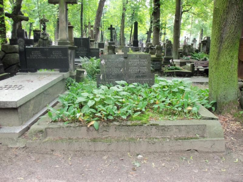 Zdjęcie grobu: Kazimierz Wasilewski