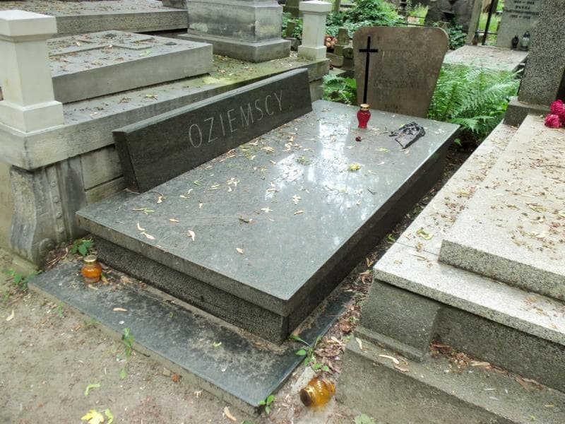 Zdjęcie grobu Zofia Kuleszyna (1)