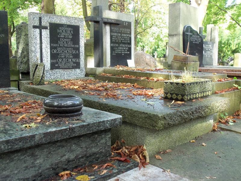 Zdjęcie grobu Jerzy Orzechowski (1)