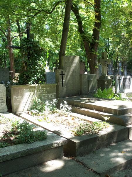 Zdjęcie grobu Danuta Żmij - Zielińska (1)