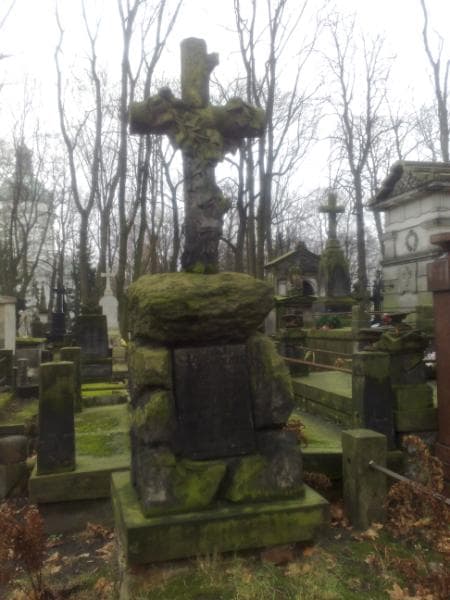 Zdjęcie grobu Franciszek Toczyłowski (1)