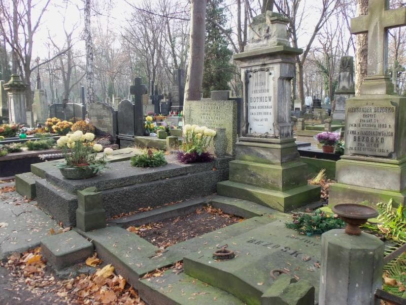 Zdjęcie grobu Helena Botniew (1)