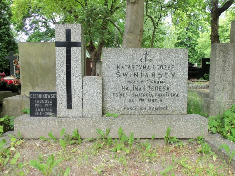 Zdjęcie grobu Janina Czernikowska (2)