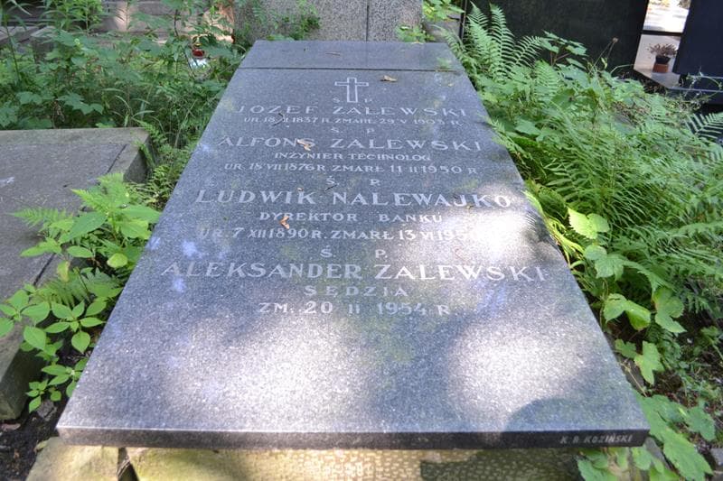 Zdjęcie grobu Ludwik Nalewajko (2)