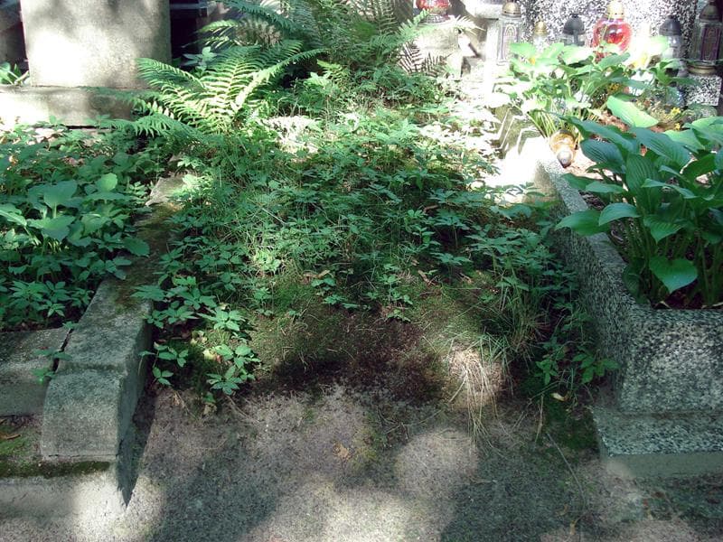 Zdjęcie grobu: Pole Grobowe