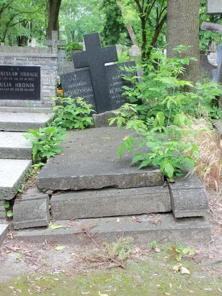 Zdjęcie grobu: Aleksandra Kobrzyńska