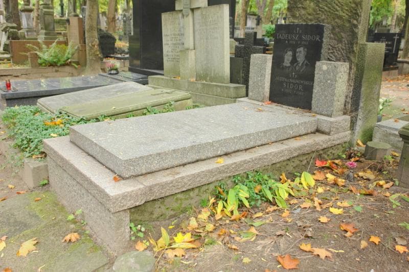 Zdjęcie grobu Michalina Wal (1)