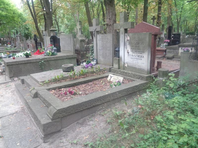 Zdjęcie grobu: Franciszek Górski